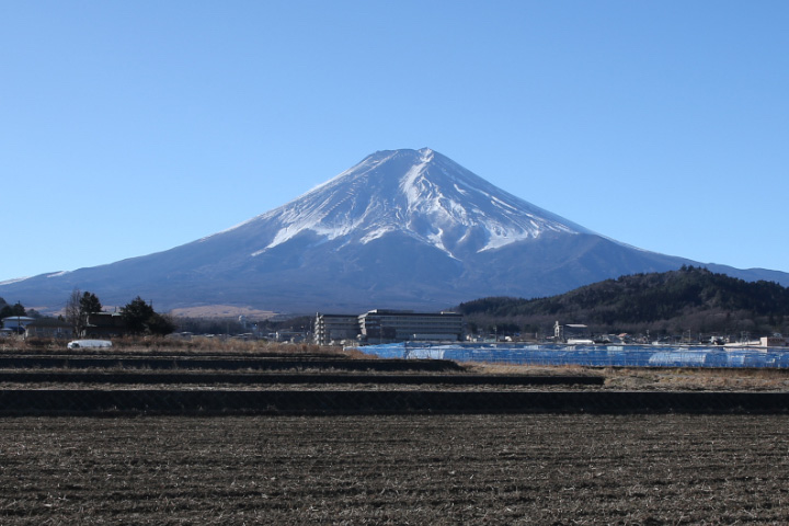 富士山